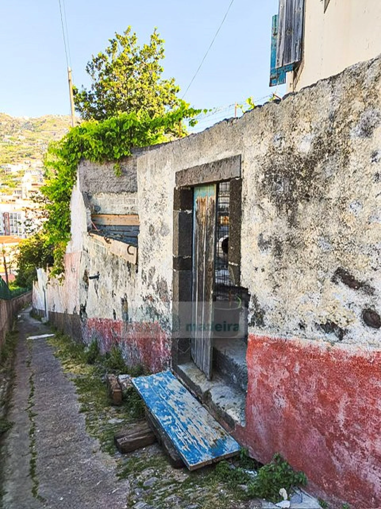Apartamento T1 para Venda em Camara de Lobos Foto 22