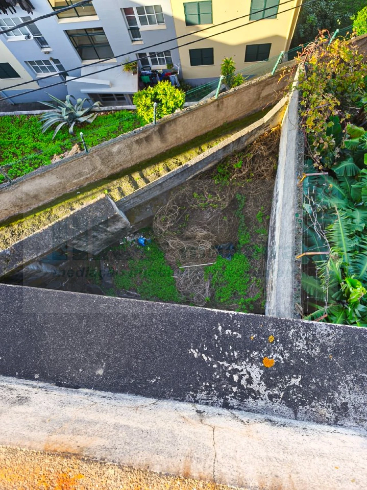 Apartamento T1 para Venda em Camara de Lobos Foto 6