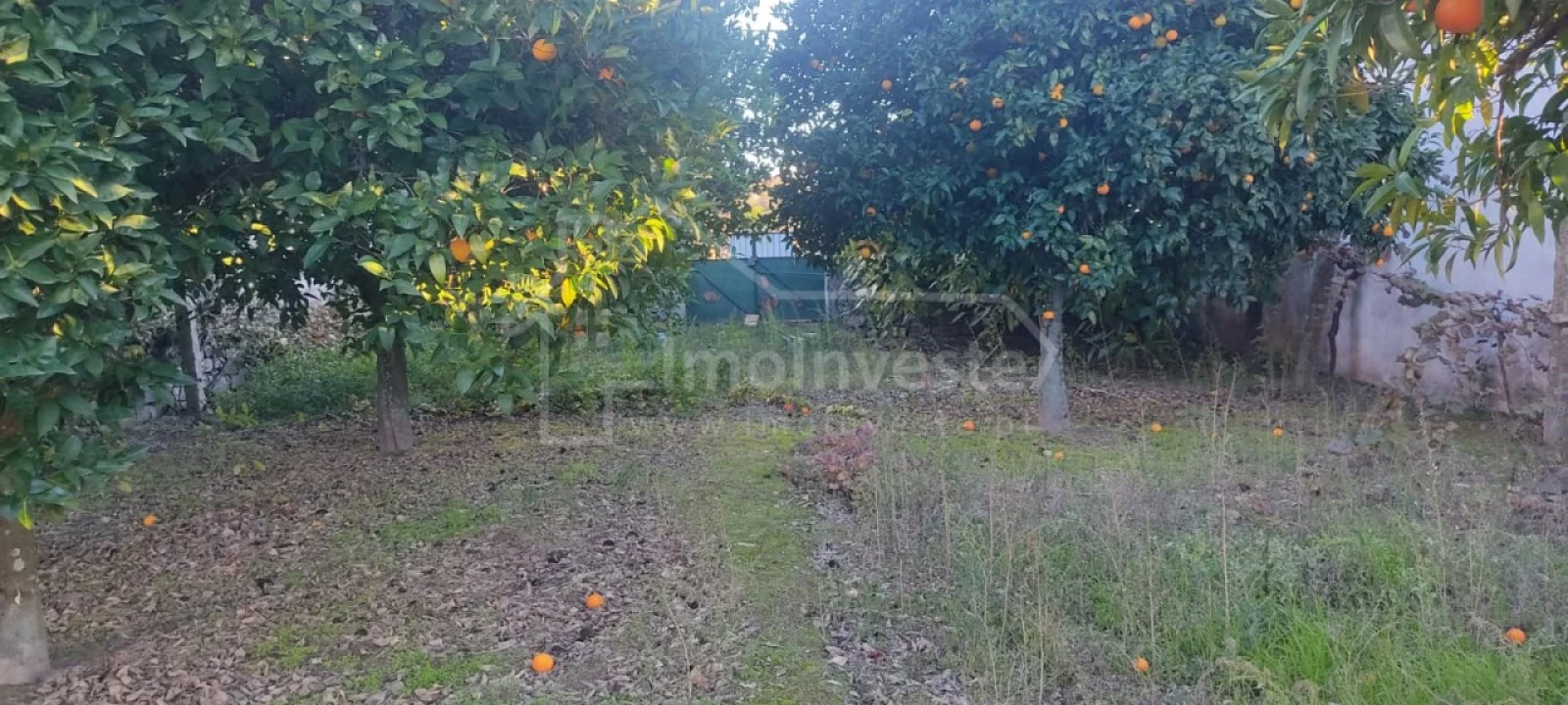 Terreno para Venda em Alcains Foto 1