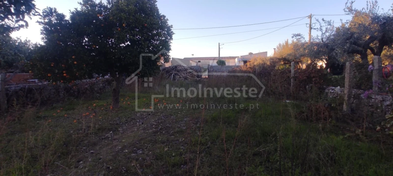 Terreno para Venda em Alcains Foto 2