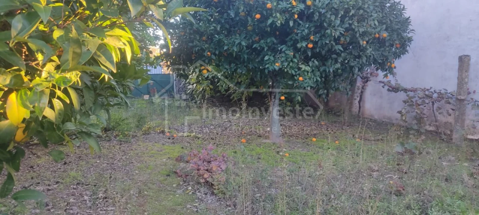 Terreno para Venda em Alcains Foto 3