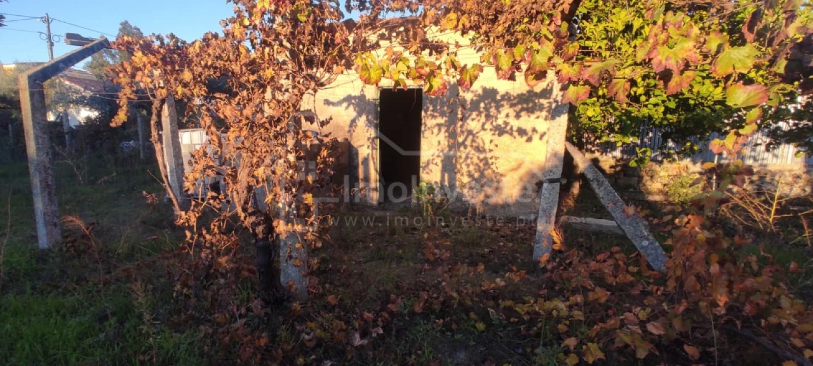 Terreno para Venda em Alcains Foto 4