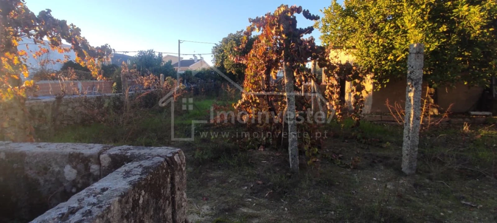 Terreno para Venda em Alcains Foto 5