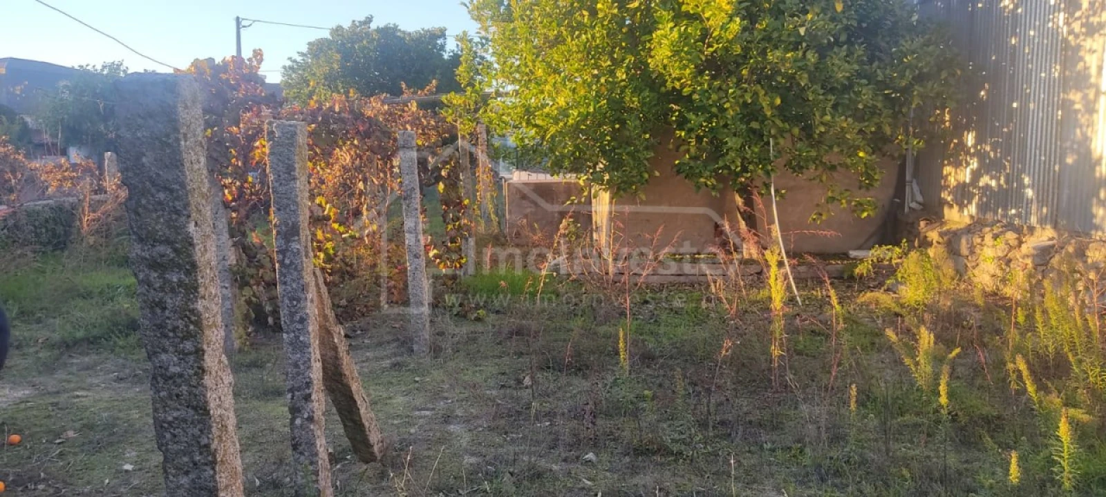 Terreno para Venda em Alcains Foto 6