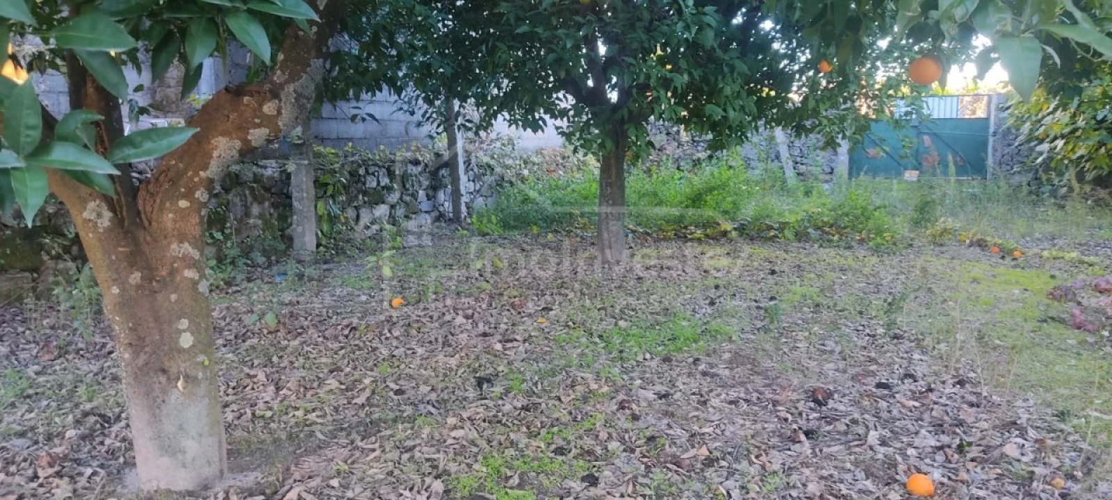 Terreno para Venda em Alcains Foto 7