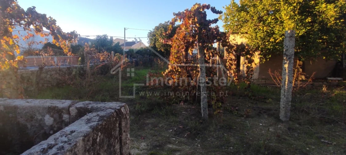 Terreno para Venda em Alcains Foto 5