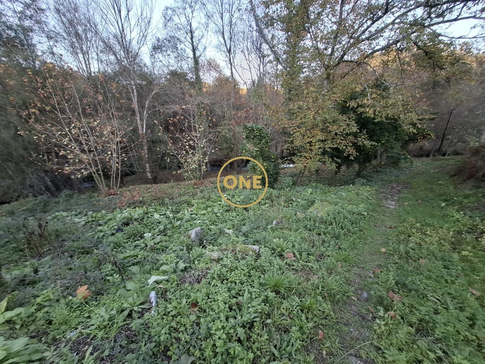 Terreno para Venda em Valdreu Foto 8