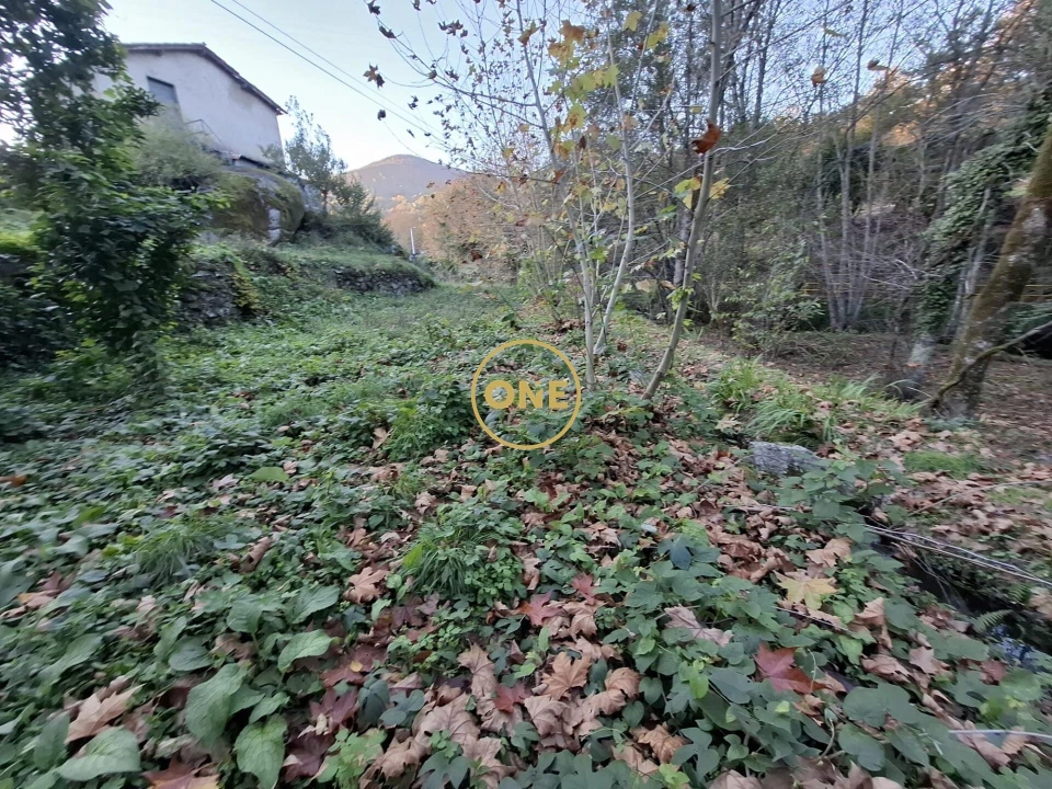 Terreno para Venda em Valdreu Foto 17