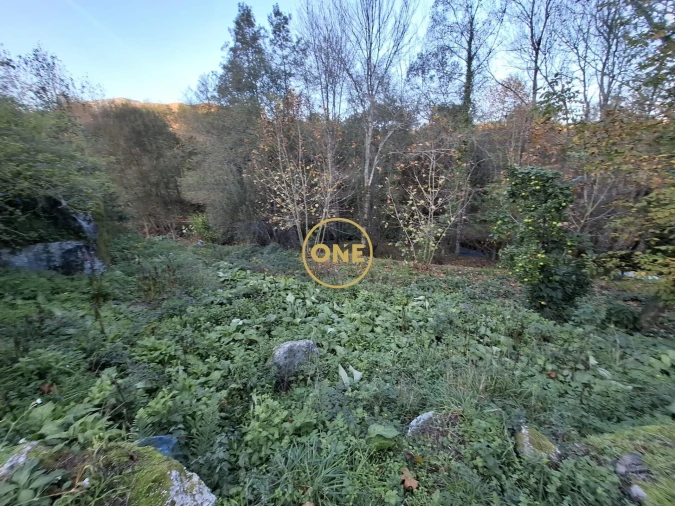 Terreno para Venda em Valdreu Foto 1