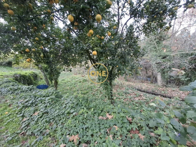 Terreno para Venda em Valdreu Foto 7