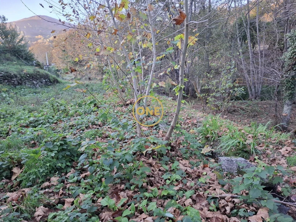 Terreno para Venda em Valdreu Foto 3