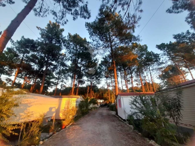 Moradia T2 para Venda em Pinhal Novo Foto 20