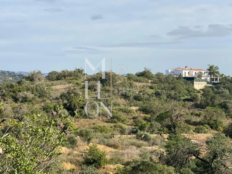Terreno para Venda em Boliqueime Foto 1