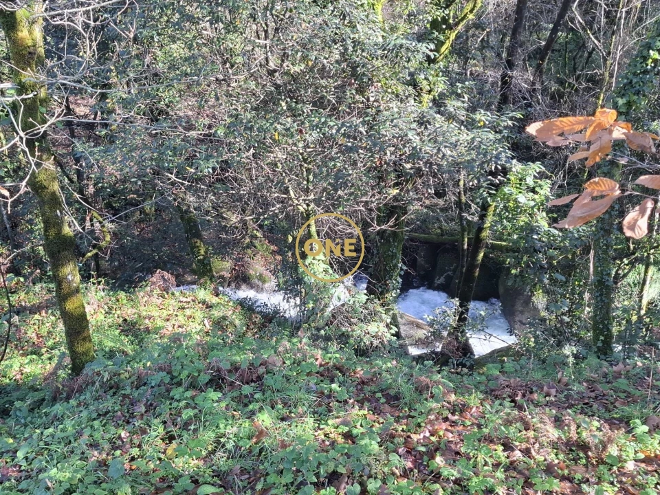 Terreno para Venda em Valdreu Foto 24