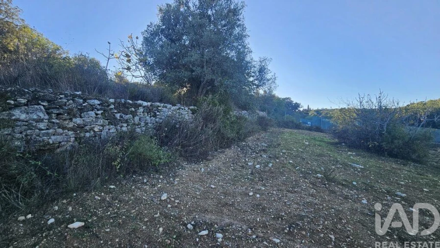 Terreno para Venda em Santa Barbara de Nexe Foto 10