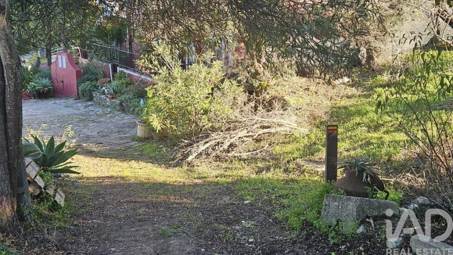 Terreno para Venda em Santa Barbara de Nexe Foto 6