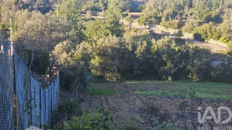 Terreno para Venda em Santa Barbara de Nexe Foto 17