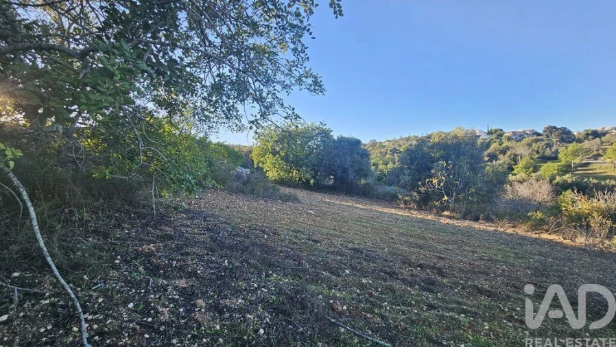 Terreno para Venda em Santa Barbara de Nexe Foto 14