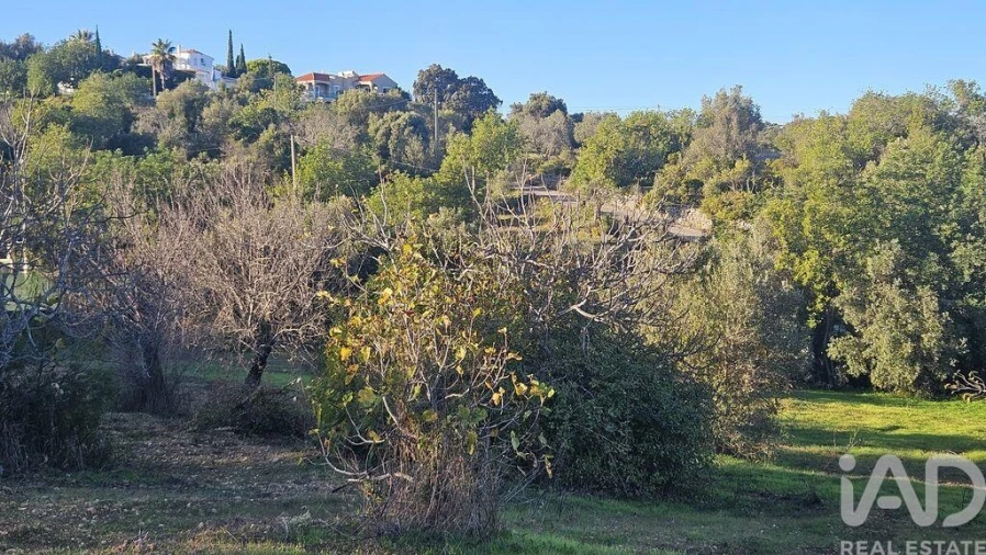 Terreno para Venda em Santa Barbara de Nexe Foto 9