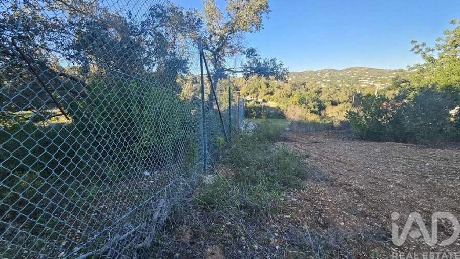 Terreno para Venda em Santa Barbara de Nexe Foto 15