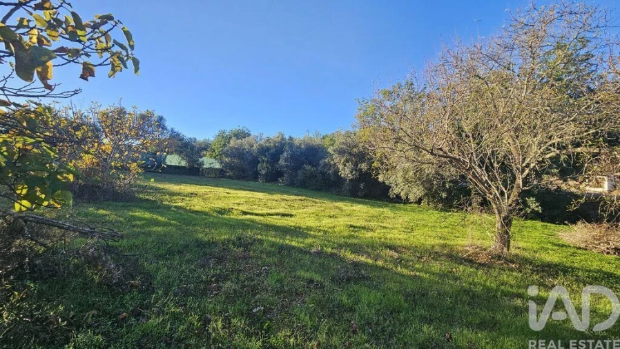 Terreno para Venda em Santa Barbara de Nexe Foto 1