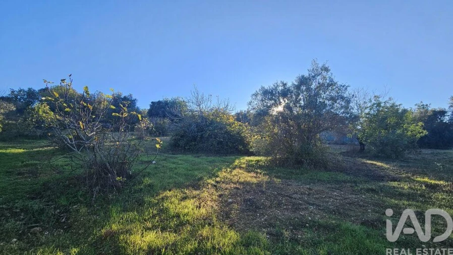 Terreno para Venda em Santa Barbara de Nexe Foto 8