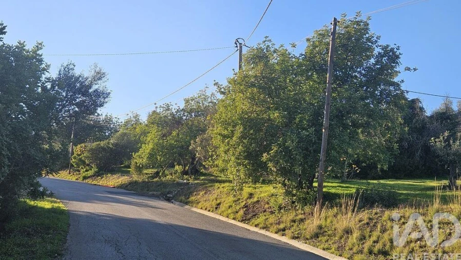 Terreno para Venda em Santa Barbara de Nexe Foto 4