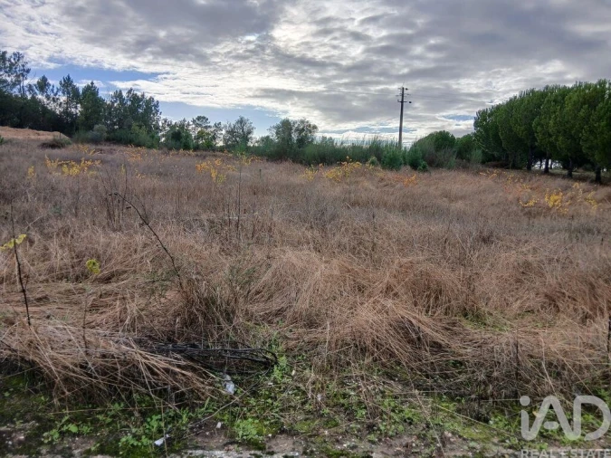Terreno para Venda em Fazendas de Almeirim Foto 2