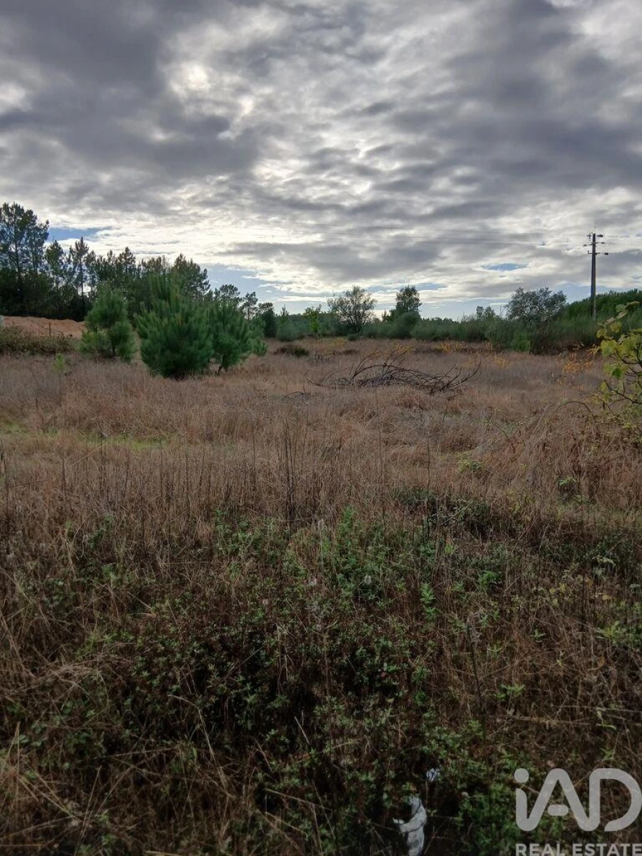 Terreno para Venda em Fazendas de Almeirim Foto 3