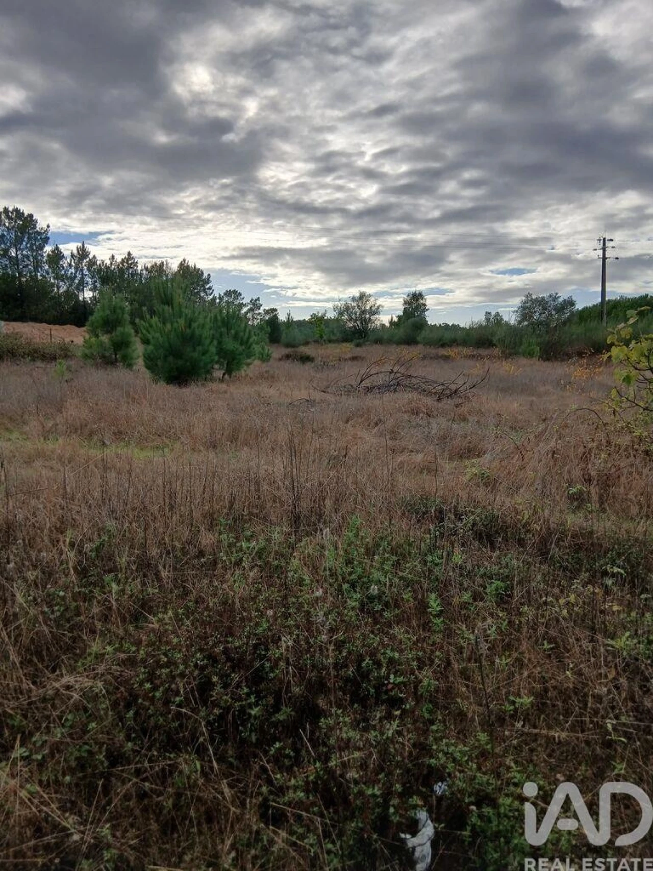 Terreno para Venda em Fazendas de Almeirim Foto 3