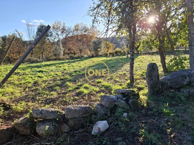 Terreno para Venda em Valdreu Foto 5