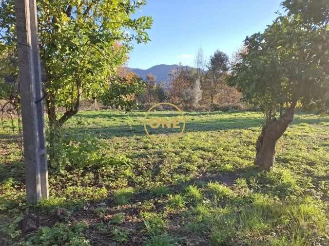 Terreno para Venda em Valdreu Foto 15