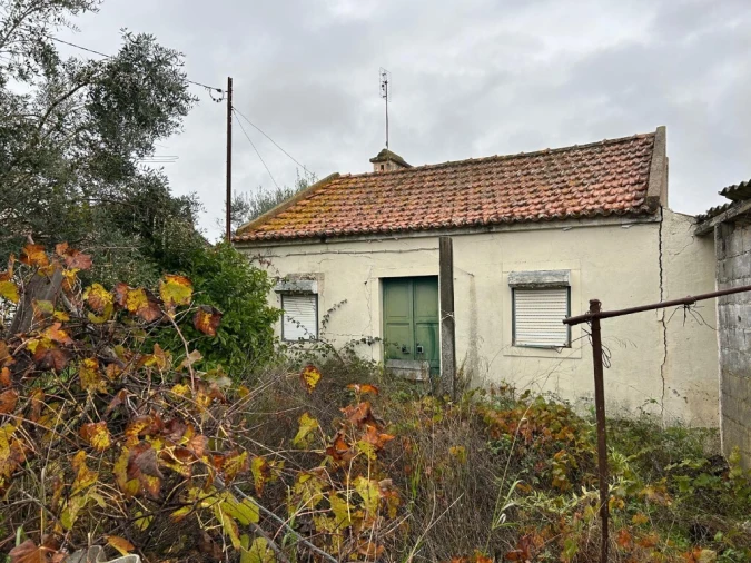 Moradia T2 para Venda em Serra e Junceira Foto 3