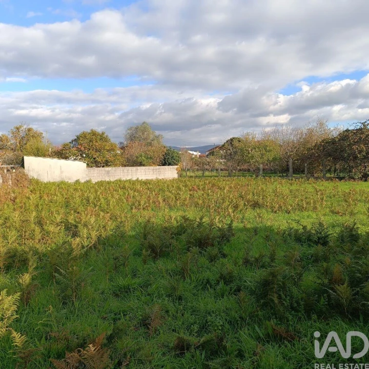 Terreno para Venda em Campos e Vila Meã Foto 4
