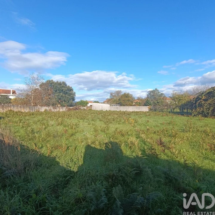 Terreno para Venda em Campos e Vila Meã Foto 11
