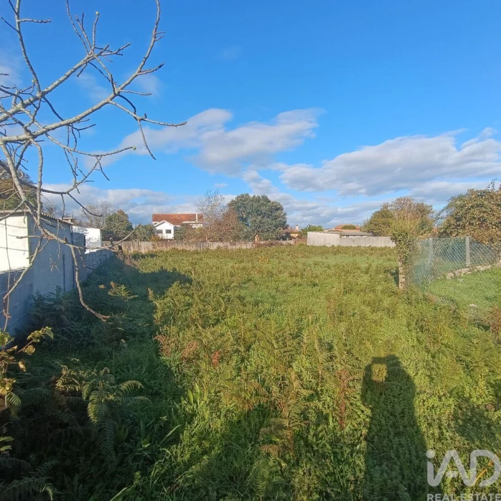 Terreno para Venda em Campos e Vila Meã Foto 14