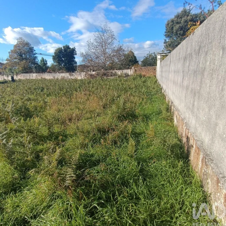 Terreno para Venda em Campos e Vila Meã Foto 13