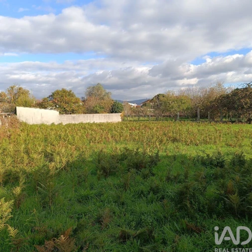 Terreno para Venda em Campos e Vila Meã Foto 4