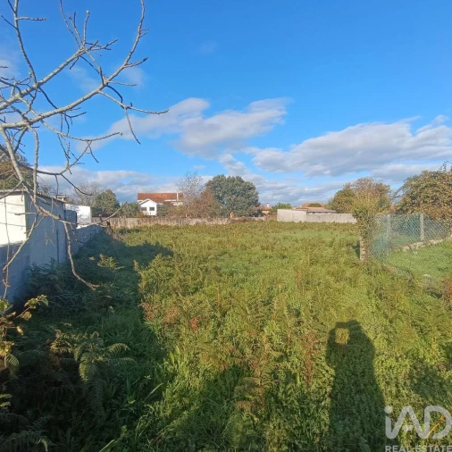 Terreno para Venda em Campos e Vila Meã Foto 14