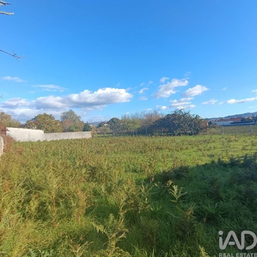 Terreno para Venda em Campos e Vila Meã