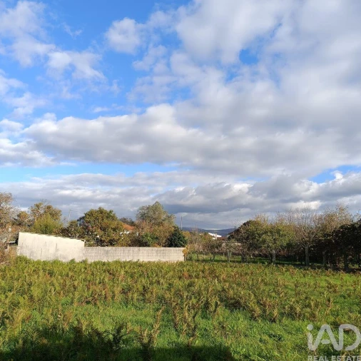 Terreno para Venda em Campos e Vila Meã Foto 9