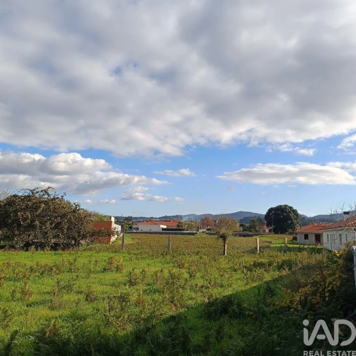 Terreno para Venda em Campos e Vila Meã Foto 5