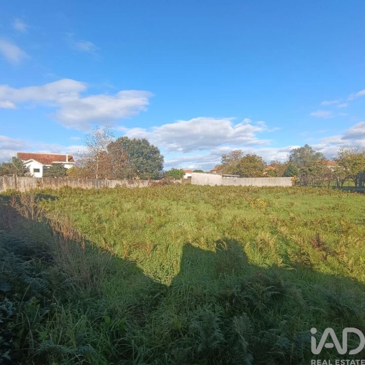 Terreno para Venda em Campos e Vila Meã Foto 3