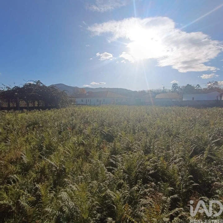 Terreno para Venda em Campos e Vila Meã Foto 6