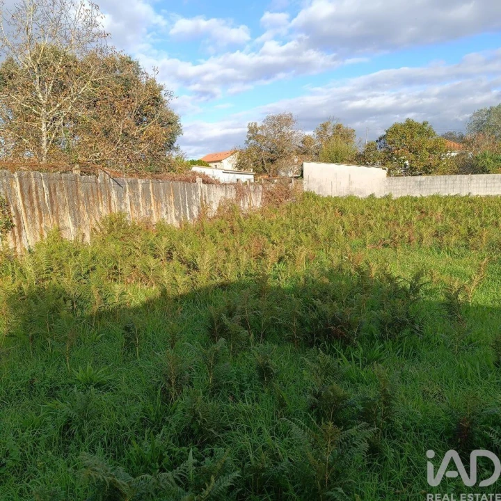 Terreno para Venda em Campos e Vila Meã Foto 10