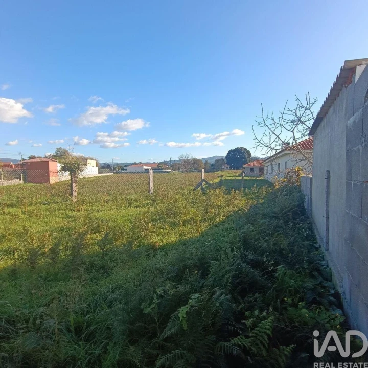 Terreno para Venda em Campos e Vila Meã Foto 8