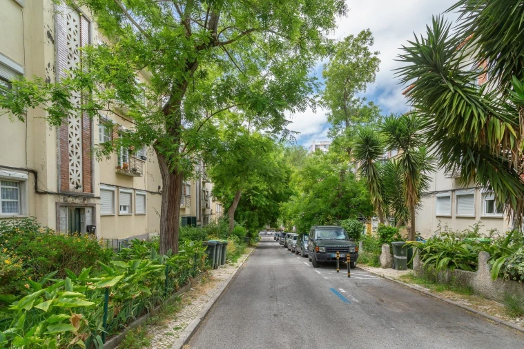 Apartamento T2 para Arrendamento em Alvalade Foto 44