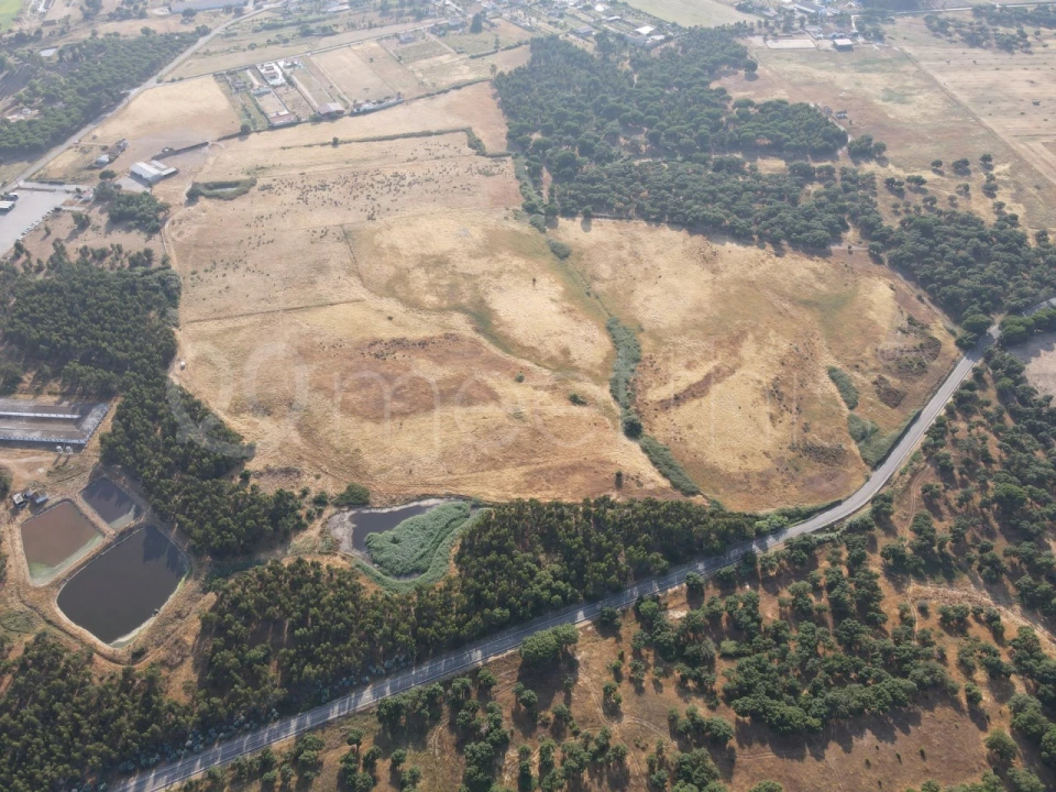 Terreno para Venda em Benavente Foto 4