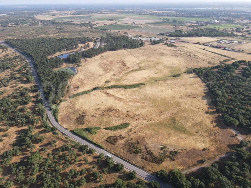 Terreno para Venda em Benavente Foto 6