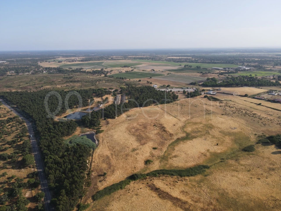 Terreno para Venda em Benavente Foto 7